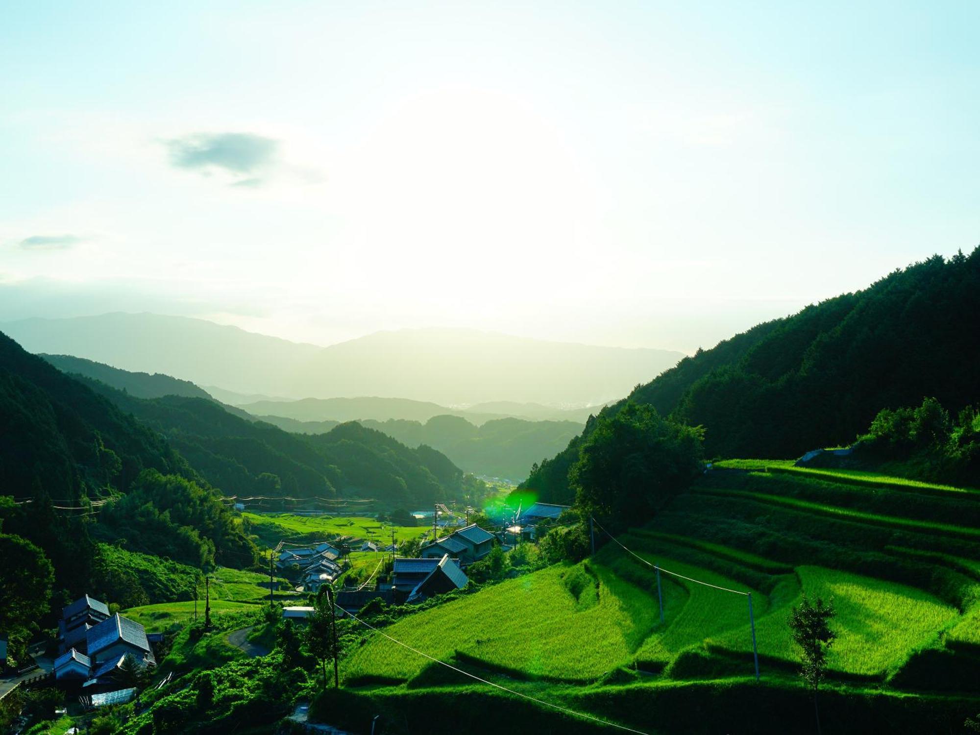Grand Mercure Nara Kashihara Kashihara  Esterno foto