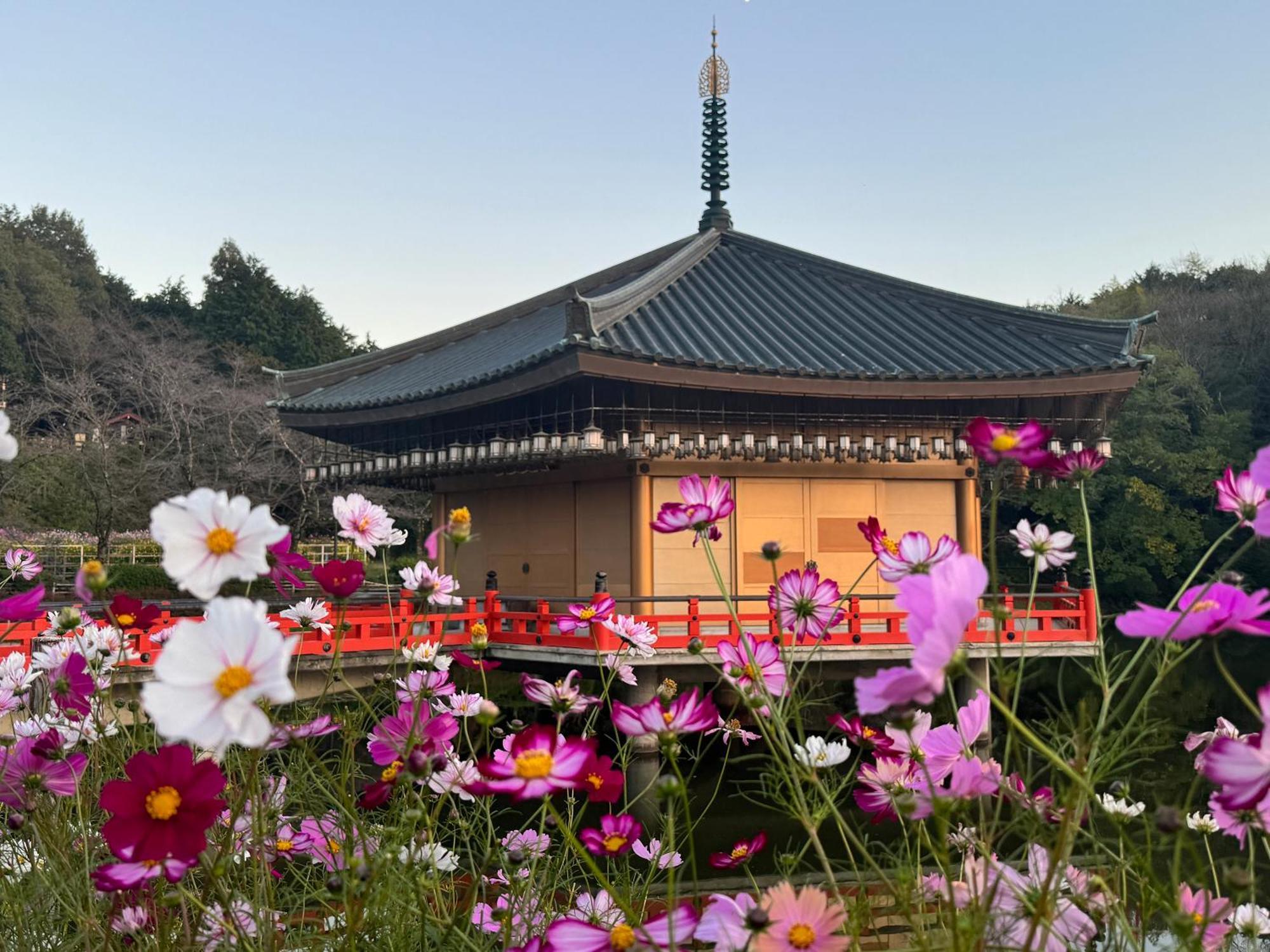 Grand Mercure Nara Kashihara Kashihara  Esterno foto