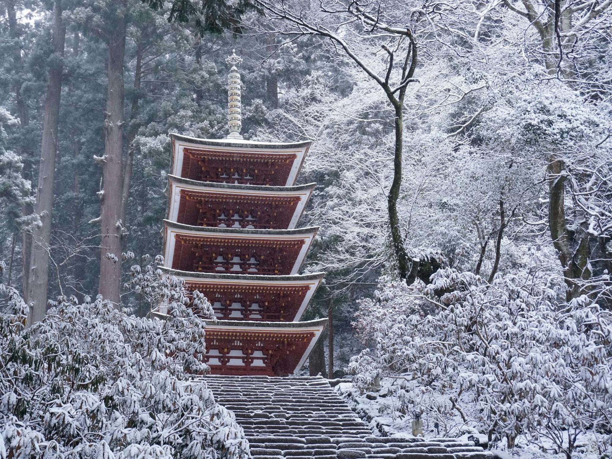 Grand Mercure Nara Kashihara Kashihara  Esterno foto